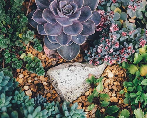 unsplash-6